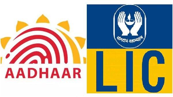 എൽഐസി പോളിസി