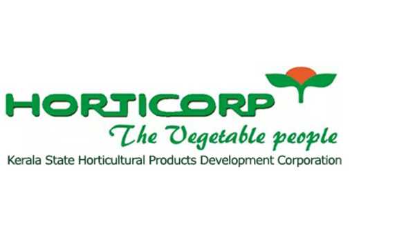 ഹോര്‍ട്ടി കോര്‍പ്പില്‍ 45 രൂപ