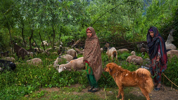 കൃഷി ഭൂമി