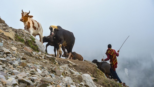 ലഡാക്കിനും