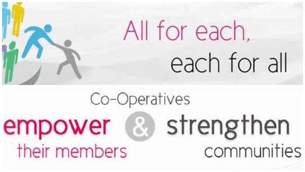 വിപണി ഇല്ല