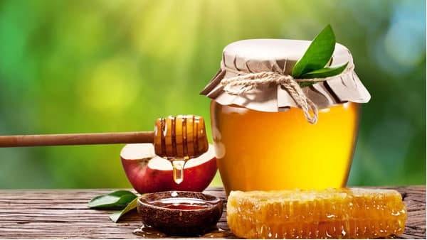 അന്വേഷണം