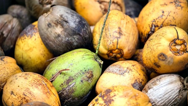 വെളിച്ചെണ്ണയില്ലാതെ