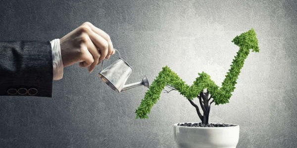 നിക്ഷേപത്തിലെ വൈവിധ്യവത്ക്കരണം