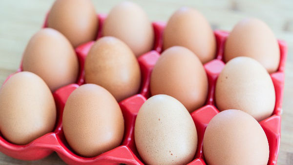 കോഴി മുട്ട വിപണനം