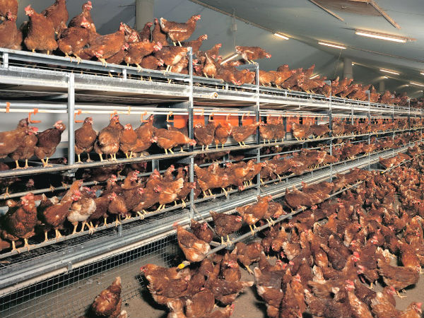 ചിലവുകള്‍ ഇങ്ങനെ