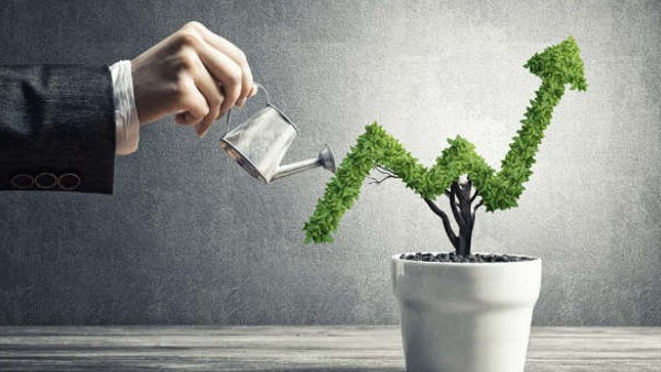 പ്രധാനമായും മൂന്ന് തരം