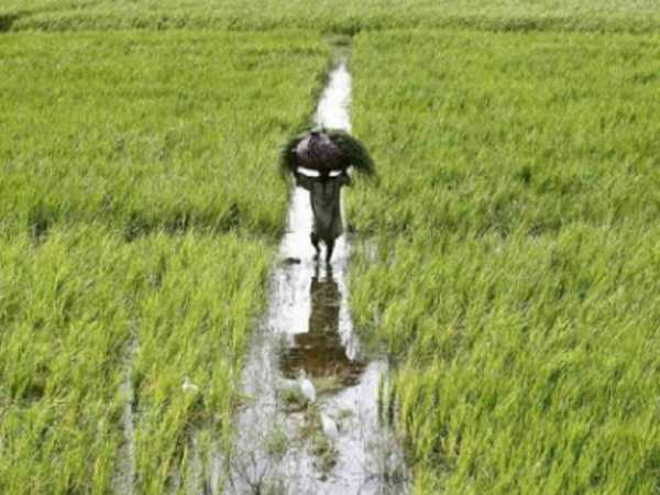 ആർക്കൊക്കെ ചേരാം