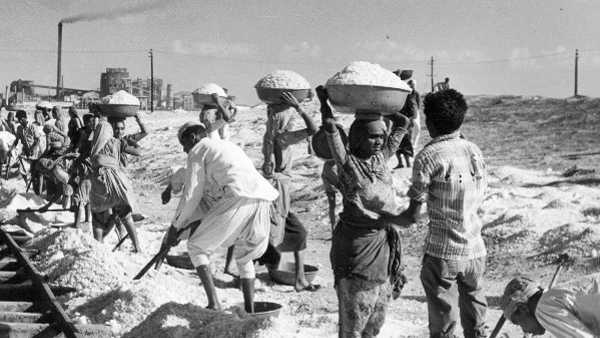 ടാറ്റ സാൾട്ട്