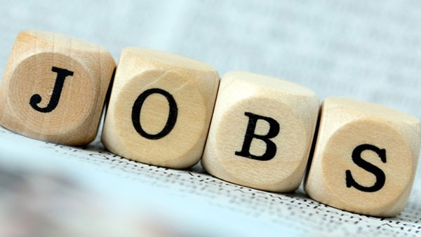 സൗദിയിൽ അവസരം; അമേരിക്കൻ കമ്പനിയിൽ ഇല്ട്രിക്കൽ, സെയിൽസ് വിഭാ​ഗത്തിൽ ഒഴിവ്; അപേക്ഷിക്കാം