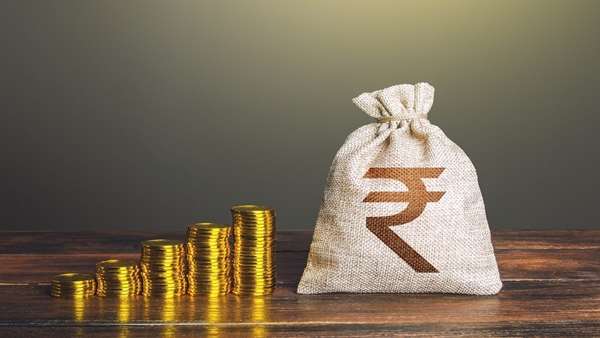 ആശയക്കുഴപ്പങ്ങൾ വേണ്ട... തിരഞ്ഞെടുക്കാം ഫ്ലെക്സി ക്യാപ് ഫണ്ടുകൾ; മികച്ച നിക്ഷേപ പദ്ധതിയെ കൂടുതലറിയാം