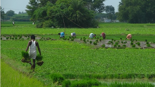 പിഎം കിസാൻ സമ്മാൻ നിധി: 2000 രൂപയ്ക്ക് നിങ്ങൾ അർഹരാണോ? അറിയാം… പിഎം കിസാൻ സമ്മാൻ നിധി: 2000 രൂപയ്ക്ക് നിങ്ങൾ അർഹരാണോ? അറിയാം…