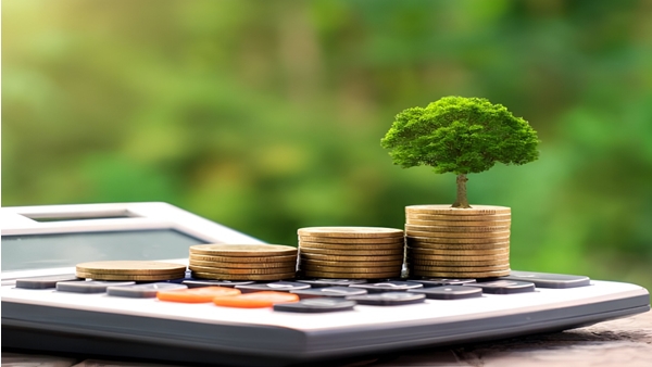 10,000 രൂപയുടെ എസ്ഐപി 3.5 കോടി രൂപയായി, നേട്ടം മാത്രം നൽകിയ ബ്ലൂചിപ്പ് ഫണ്ട് ഇതാണ്