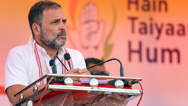 ആകെ 8.11 കോടി, ഓഹരി വിപണിയിൽ നിന്നും നേട്ടം കൊയ്ത് രാഹുൽ ഗാന്ധി