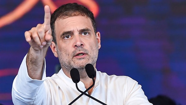 ആകെ 8.11 കോടി, ഓഹരി വിപണിയിൽ നിന്നും നേട്ടം കൊയ്ത് രാഹുൽ ഗാന്ധി