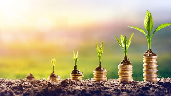 സ്ഥിര നിക്ഷേപം vs ബോണ്ട്; ഏതായിരിക്കണം നിങ്ങളുടെ ശരിയായ തിരഞ്ഞെടുപ്പ്?