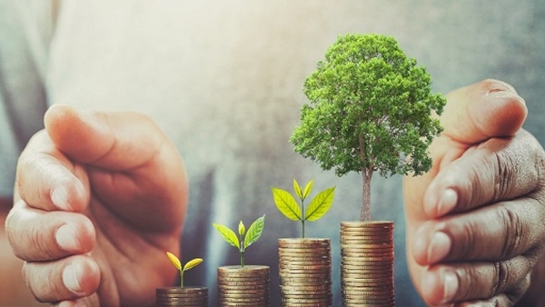 പിപിഎഫ് vs ഇപിഎഫ് vs എൻപിഎസ്: നിക്ഷേപത്തിലൂടെ ഉയർന്ന വരുമാനം ലഭിക്കുന്ന സ്കീം ഏതാണ്?