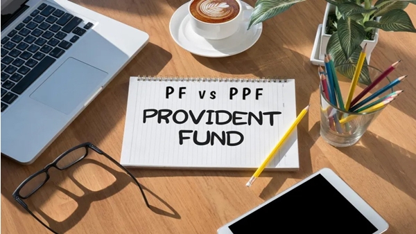 EPF vs SIP vs PPF: 15 വർഷം കൊണ്ട് ലക്ഷങ്ങൾ സമ്പാദിക്കാം, ഏത് പദ്ധതിയാണ് നല്ലത്, വിശദമായി അറിയാം