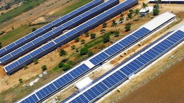 1 മാസം, 79 ശതമാനം വളർച്ച, 52 ആഴ്ചയിലെ ഉയർന്ന വില തൊട്ട് സോളാർ ഓഹരി, കുതിപ്പ് തുടർന്നാൽ കീശ നിറയും