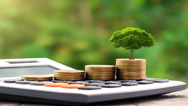 സാമ്പത്തിക യാത്ര തുടങ്ങുവാണോ? തുടക്കക്കാർക്ക് അനുയോജ്യമായ മികച്ച നിക്ഷേപ ഓപ്ഷനുകൾ