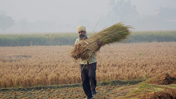 'ഇന്ത്യയുടെ ആത്മാവായ ഗ്രാമങ്ങളിൽ വികസനം എത്തണം', തൊഴിൽ എല്ലാവർക്കും വേണം: ബജറ്റിൽ വിട്ടുപോകരുത് ഇവ