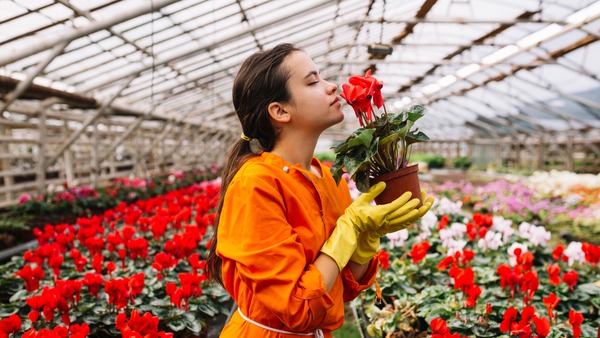 'വെറും പൂക്കൾ വിറ്റാൽ മാസം ലക്ഷങ്ങൾ ലാഭം', വിശ്വസിക്കുന്നുണ്ടോ? പക്ഷെ, സത്യമാണ്: പണിയെടുക്കൂ... 'വെറും പൂക്കൾ വിറ്റാൽ മാസം ലക്ഷങ്ങൾ ലാഭം', വിശ്വസിക്കുന്നുണ്ടോ? പക്ഷെ, സത്യമാണ്: പണിയെടുക്കൂ...