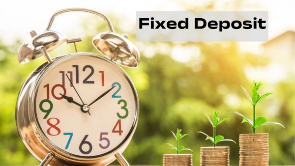 10 ലക്ഷം 5 വർഷം കൊണ്ട് എത്ര രൂപയായി വളരും? ഈ എഫ്.ഡികളിൽ നിക്ഷേപിക്കാം, ഉയർന്ന വരുമാനം അറിയാം...