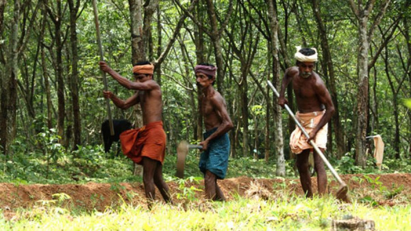  'മലയാളികൾ പണിയെടുക്കാൻ തുടങ്ങി മക്കളെ', പുതിയ പഠന റിപ്പോർട്ട് കണ്ടാൽ നിങ്ങൾ തന്നെ അന്തം വിടും