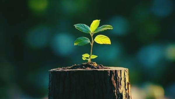 എസ് ഐ പികൾ ഇപ്പോൾ നിർത്താനോ? എന്താണ് പ്രശ്നം? വളരെ ശ്രദ്ധിക്കണം, ഗുരുതരമാണോ സാഹചര്യം?