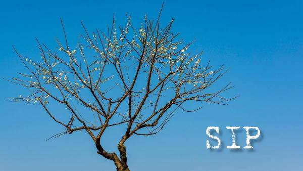 '11111, 22,222, 33,333', 'ഈ ഏയ്ഞ്ചൽ തുകകൾ നിക്ഷേപിക്കൂ', 4 കോടിയോളം ലാഭം നേടൂ: ഇത് നിങ്ങളുടെ സമയം