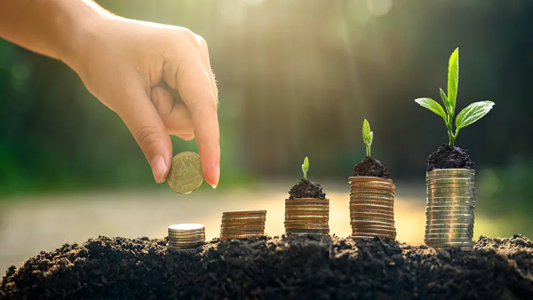 8% വരെ പലിശ, പുതിയ നിരക്കുകളുമായി ഈ ബാങ്കിൻ്റെ സേവിംഗ്സ് അക്കൗണ്ടുകളിൽ പരിഷ്കാരം