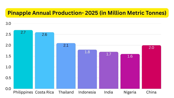 ഇത്തവണ പൈനാപ്പിൾ കർഷകർക്ക് കനത്ത നഷ്ടം, മൺസൂൺ നേരത്തെ എത്തിയതോടെ കളി കാര്യമായി