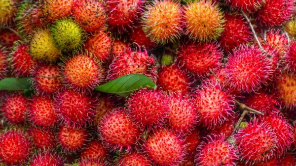 റംബൂട്ടാൻ വിപണി പ്രതിസന്ധിയിലാണോ? വിൽപ്പന വില ഉയർന്നിട്ടും കേരളത്തിലെ കർഷകർക്ക് ലാഭമില്ല