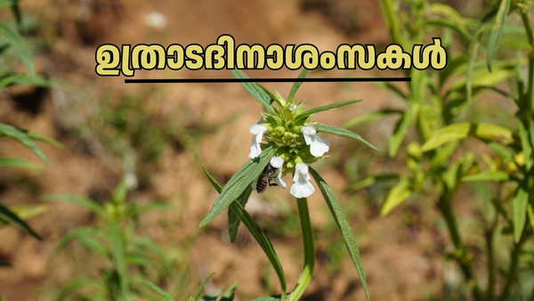 പ്രിയപ്പെട്ടവർക്ക് ഉത്രാടദിനാശംസകൾ നേരാം പ്രിയപ്പെട്ടവർക്ക് ഉത്രാടദിനാശംസകൾ നേരാം