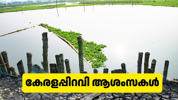 മലയാള മണ്ണിന് 69ാം പിറന്നാൾ, ഈ ചരിത്രദിനത്തിൽ അയക്കാം കേരളപ്പിറവി ആശംസകൾ