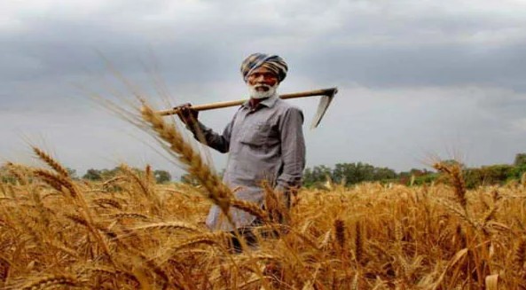 പിഎം കിസാൻ, 4,000 രൂപ കിട്ടുമോ..? 