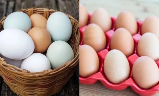 മുട്ട 'പൊന്നാകുന്നു', വില റെക്കോർഡിൽ 