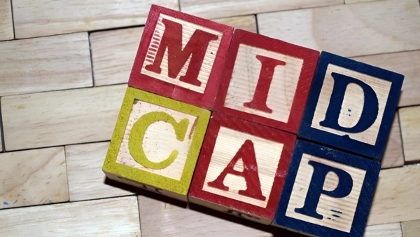 ലാഭക്ഷമതയിൽ മികച്ച് നിൽക്കുന്ന മിഡ്കാപ് ഓഹരികൾ; വില 100 രൂപയിൽ താഴെ ലാഭക്ഷമതയിൽ മികച്ച് നിൽക്കുന്ന മിഡ്കാപ് ഓഹരികൾ; വില 100 രൂപയിൽ താഴെ