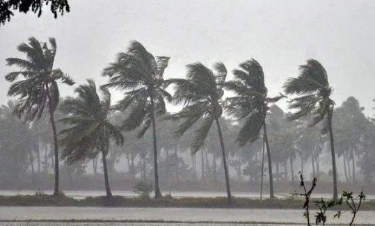 കേരളത്തിൽ ഇന്ന് മഴ പെയ്യും