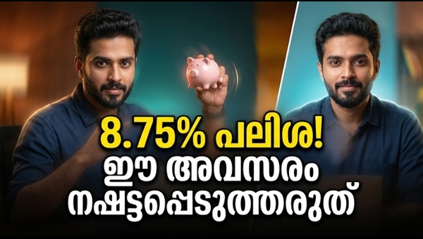 എഫ്ഡി പലിശ നിരക്ക് 8.75%; മികച്ച നിക്ഷേപ വഴികൾ