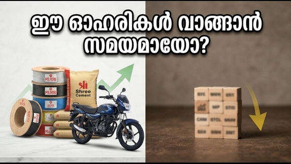 പോളികാബ്, ശ്രീ സിമന്റ്, ബജാജ് ഓട്ടോ: വൻ കുതിപ്പിന് സാധ്യത