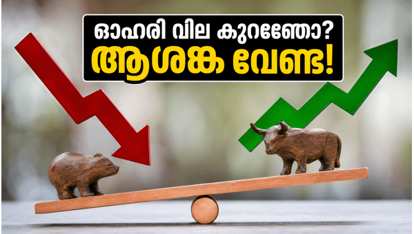 എൽഐസി ബോണസ് ഓഹരികൾ: നിക്ഷേപകർ അറിയേണ്ടത്