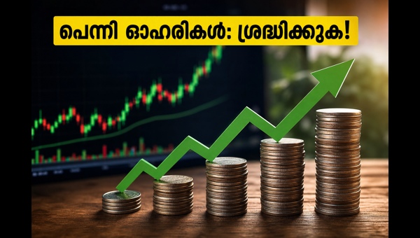 പെന്നി ഓഹരികൾ: നിക്ഷേപകർ ശ്രദ്ധിക്കേണ്ട കാര്യങ്ങൾ