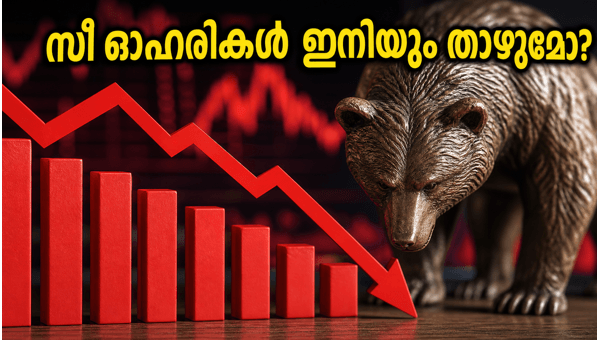 സീ ഓഹരി വില ഇടിവ്: നിക്ഷേപകർ അറിയേണ്ടത്