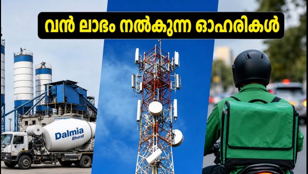 ജൂലൈയിൽ ലാഭം നൽകുന്ന 15 ഓഹരികൾ ഇവയാണ്