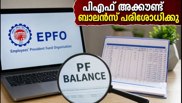 ഇപിഎഫ്ഒ സേവനങ്ങൾ പുനഃസ്ഥാപിച്ചു: പിഎഫ് ബാലൻസ് പരിശോധിക്കൂ ഇപിഎഫ്ഒ സേവനങ്ങൾ പുനഃസ്ഥാപിച്ചു: പിഎഫ് ബാലൻസ് പരിശോധിക്കൂ