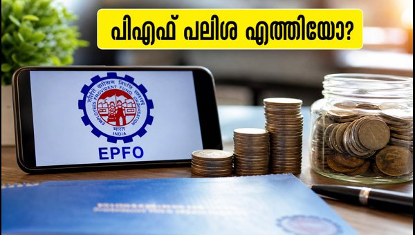 ഇപിഎഫ്ഒ പലിശ: ബാലൻസ് പരിശോധിക്കാൻ എളുപ്പവഴികൾ ഇപിഎഫ്ഒ പലിശ: ബാലൻസ് പരിശോധിക്കാൻ എളുപ്പവഴികൾ