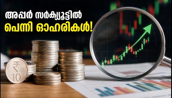 10 രൂപയിൽ താഴെയുള്ള പെന്നി ഓഹരികൾ അപ്പർ സർക്യൂട്ടിൽ 10 രൂപയിൽ താഴെയുള്ള പെന്നി ഓഹരികൾ അപ്പർ സർക്യൂട്ടിൽ