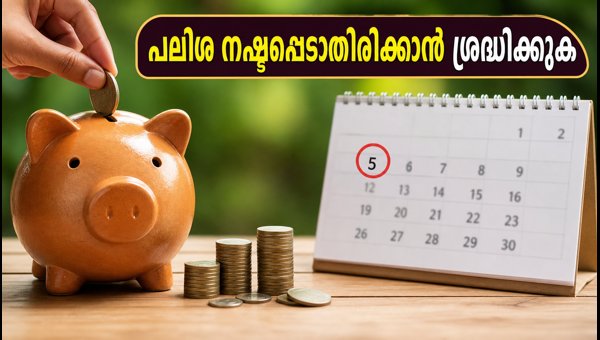 പിപിഎഫ്, സുകന്യ സമൃദ്ധി: നവംബർ 5-ന് മുൻപ് നിക്ഷേപിക്കൂ പിപിഎഫ്, സുകന്യ സമൃദ്ധി: നവംബർ 5-ന് മുൻപ് നിക്ഷേപിക്കൂ