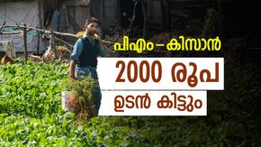 കർഷകർ ശ്രദ്ധിക്കുക: പി.എം കിസാൻ 22-ആം ഗഡു ഉടൻ ലഭിക്കും, അതിന് മുൻപ് ഈ കാര്യം പരിശോധിക്കണം